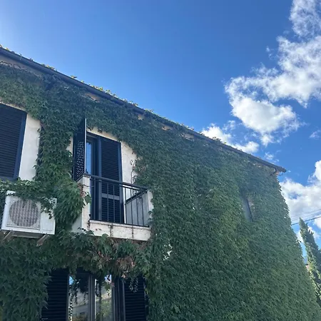 Casa Libelula