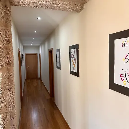 Casa Libelula *